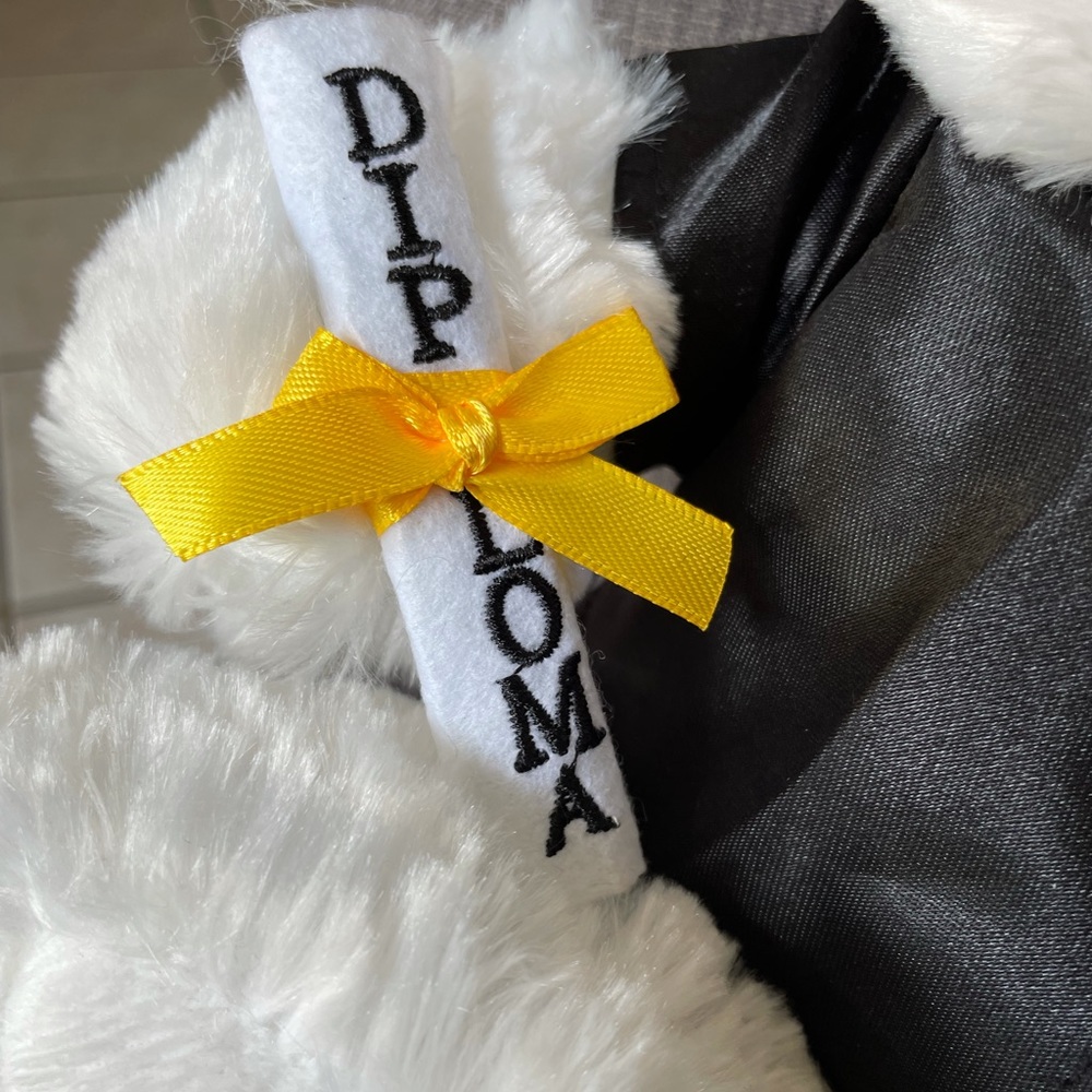 Grad Plush Bear with Lights and Sound - Picture 5 of 8
